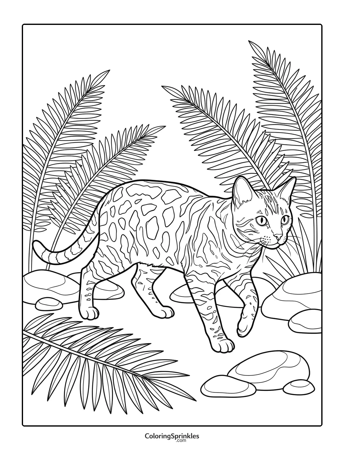Coloring page of a Bengal cat walking among tropical plants and rocks