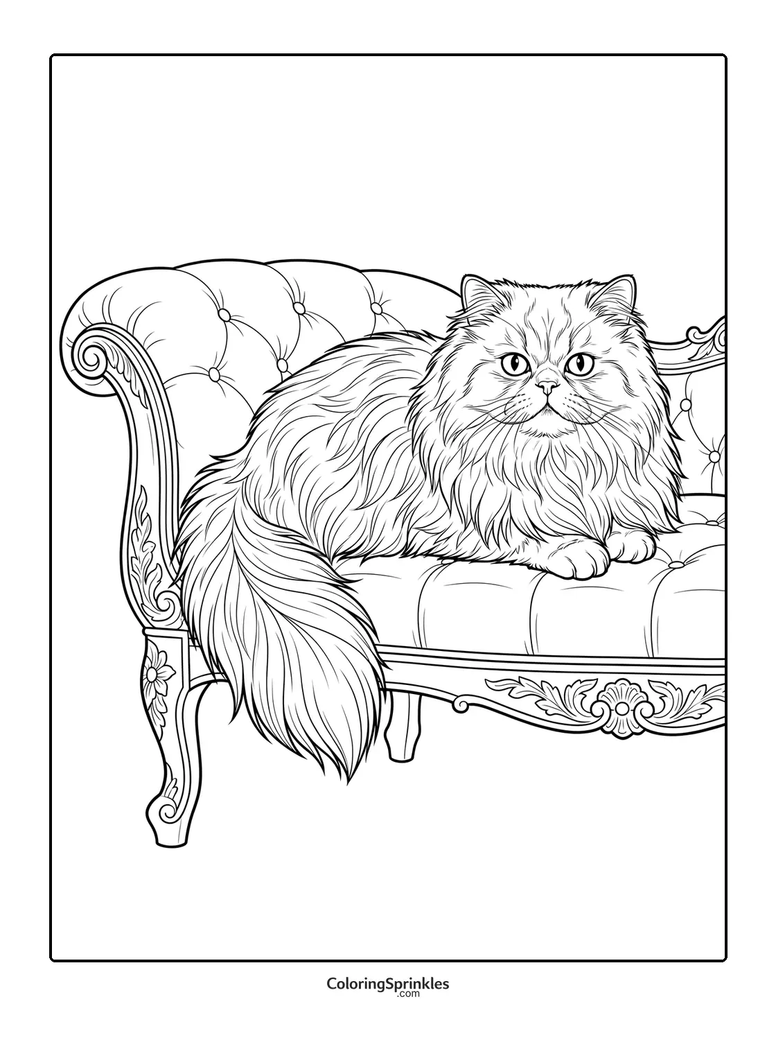 Coloring page of a fluffy cat sitting on an ornate couch
