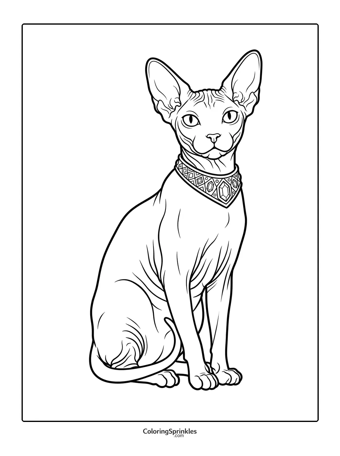 Coloring page of a sphynx cat sitting with a decorative collar