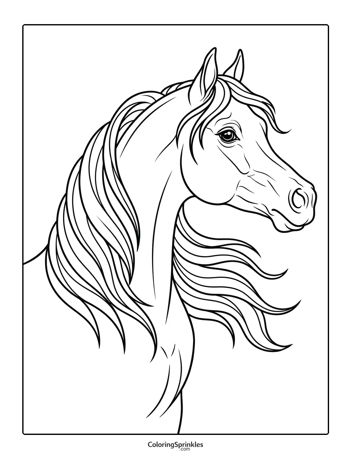 Coloring page of a horse head with a flowing mane