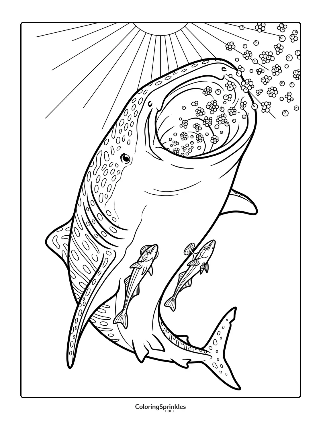 Coloring page of a whale shark blowing bubbles with two fish swimming alongside