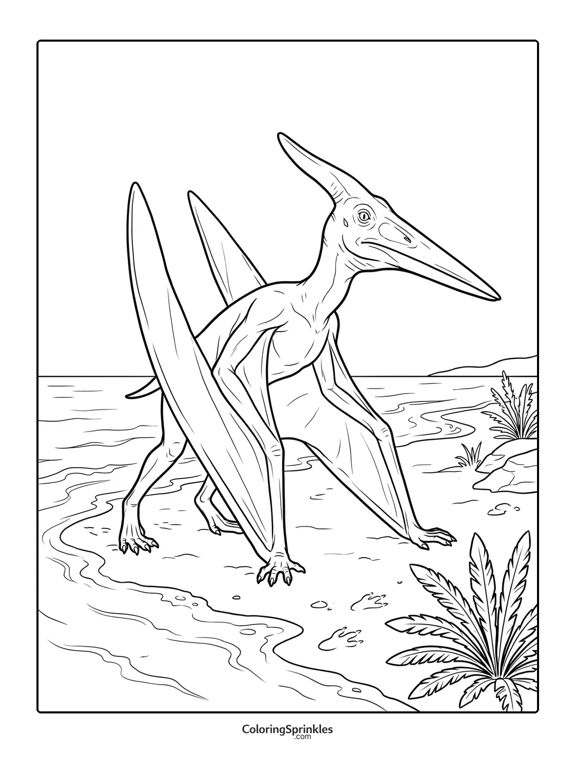 Coloring page of a pterodactyl walking on a beach with ancient plants