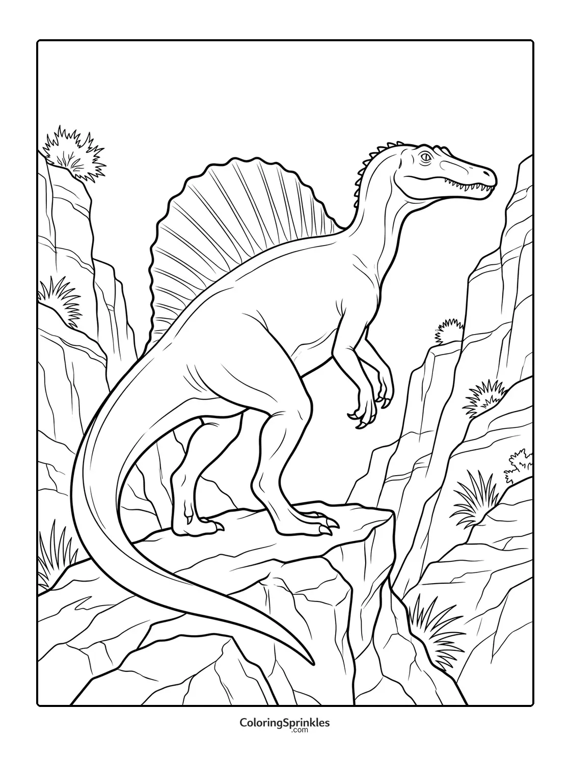 Coloring page of a spinosaurus dinosaur standing on a rock in a rocky canyon