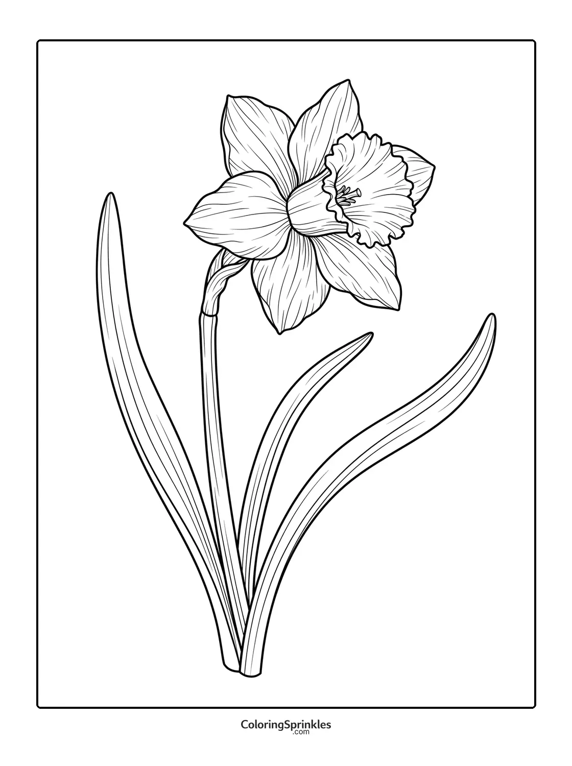 Coloring page of a single daffodil flower with leaves