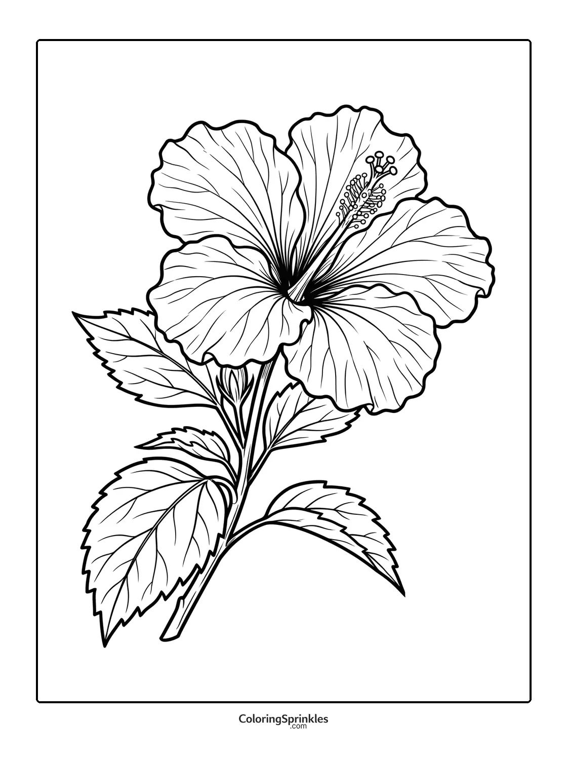 Coloring page of a hibiscus flower with leaves and stem