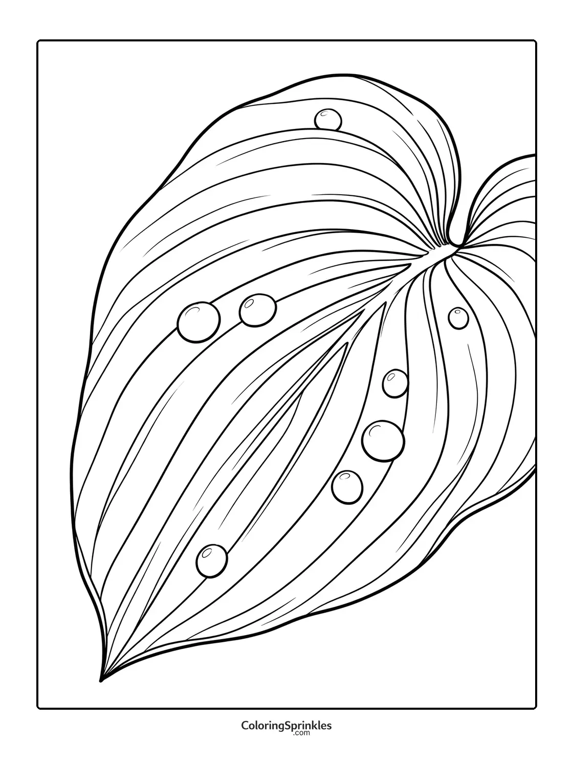 Coloring page of a leaf with water drops