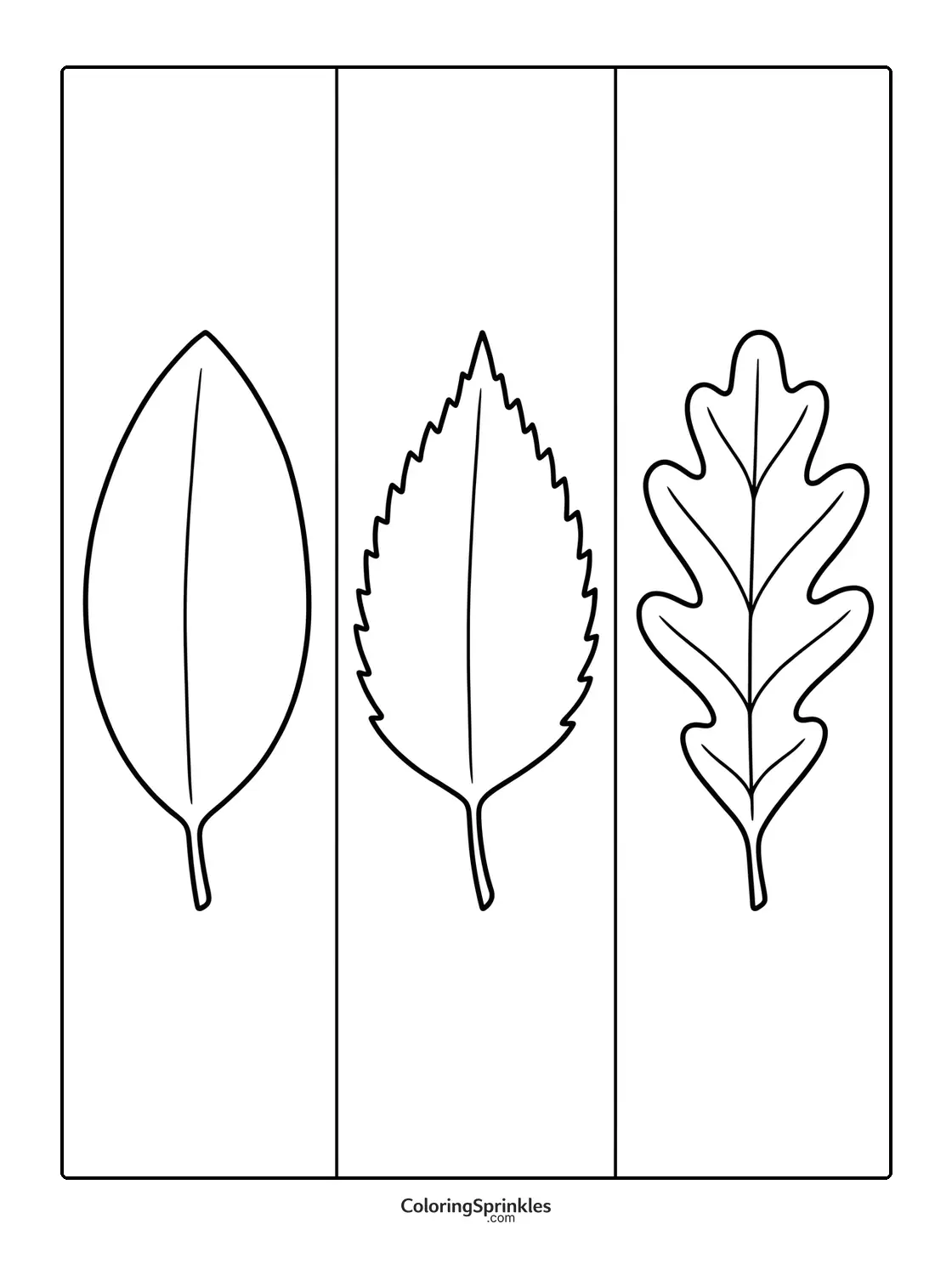 Coloring page of three simple leaf outlines of different shapes
