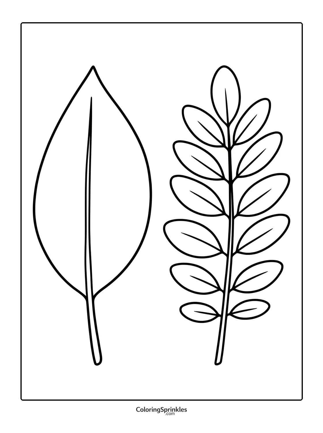 Coloring page of a simple leaf and a branch with multiple leaves