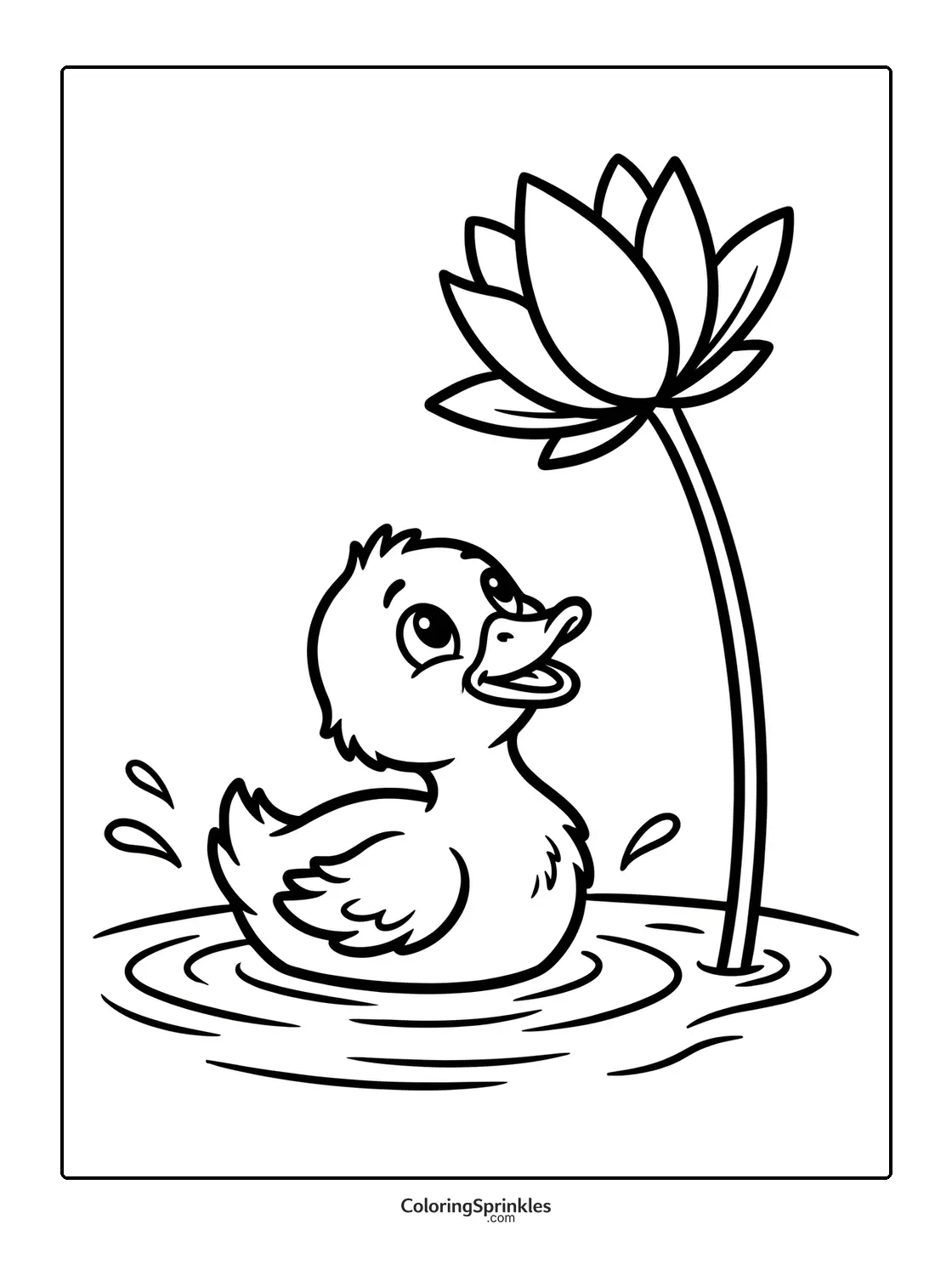 Coloring page of a duckling swimming near a lotus flower in a pond