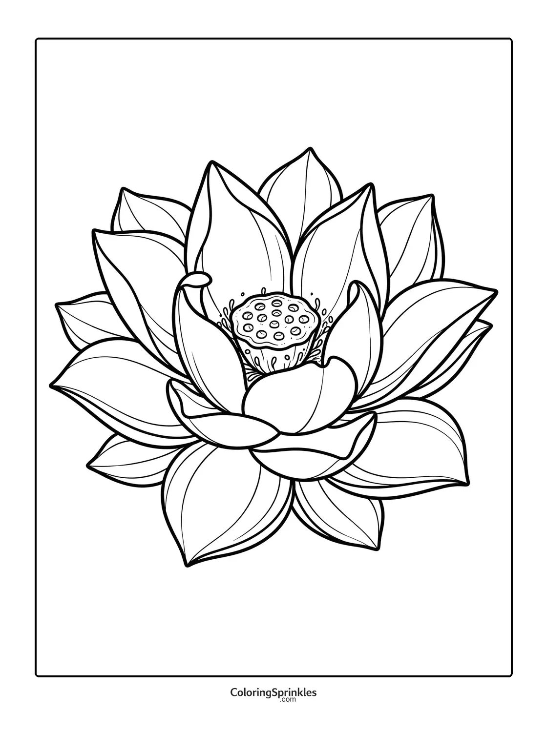 Coloring page of a blooming lotus flower with detailed petals