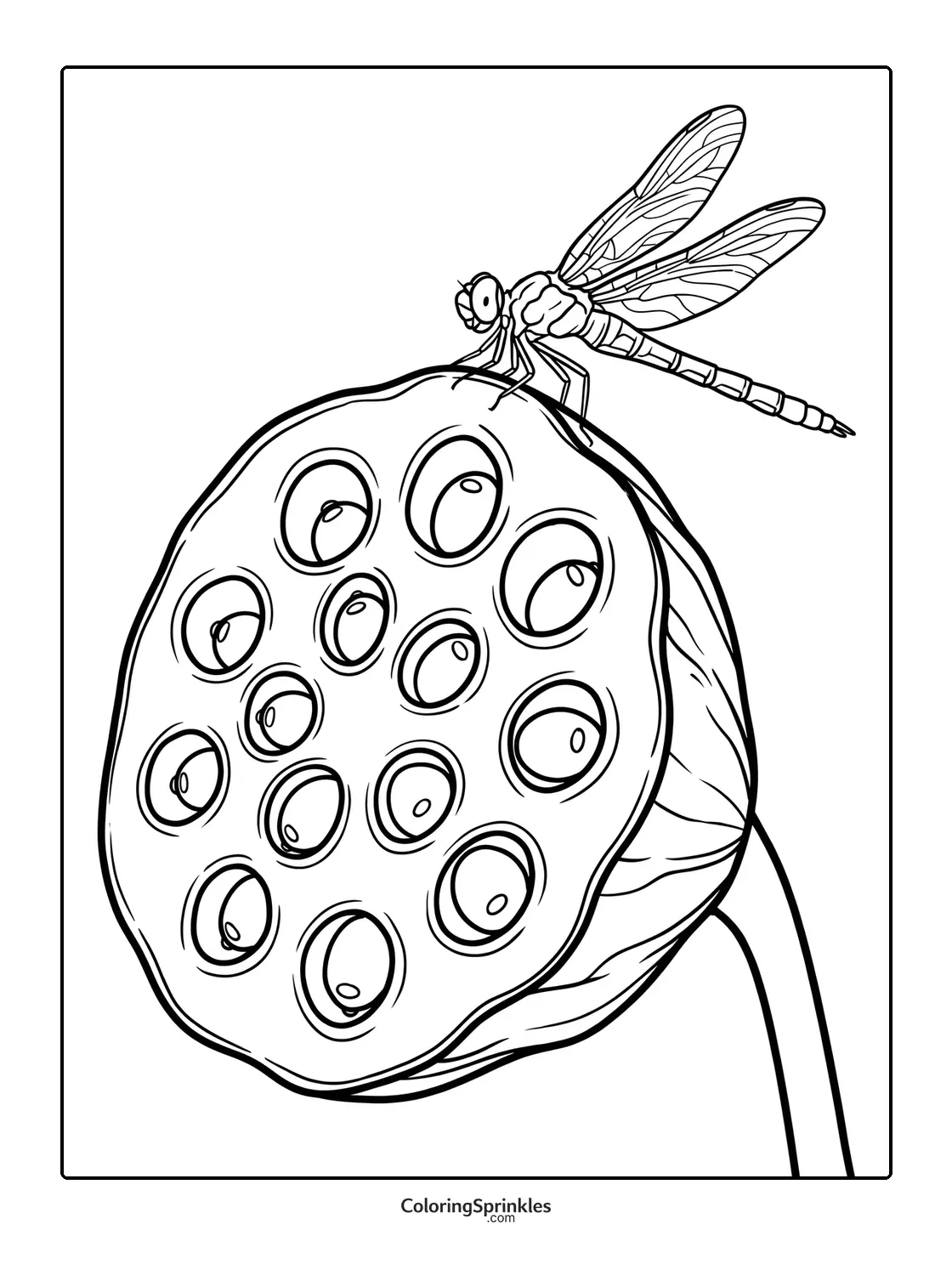 Coloring page of a dragonfly perched on a lotus seed pod