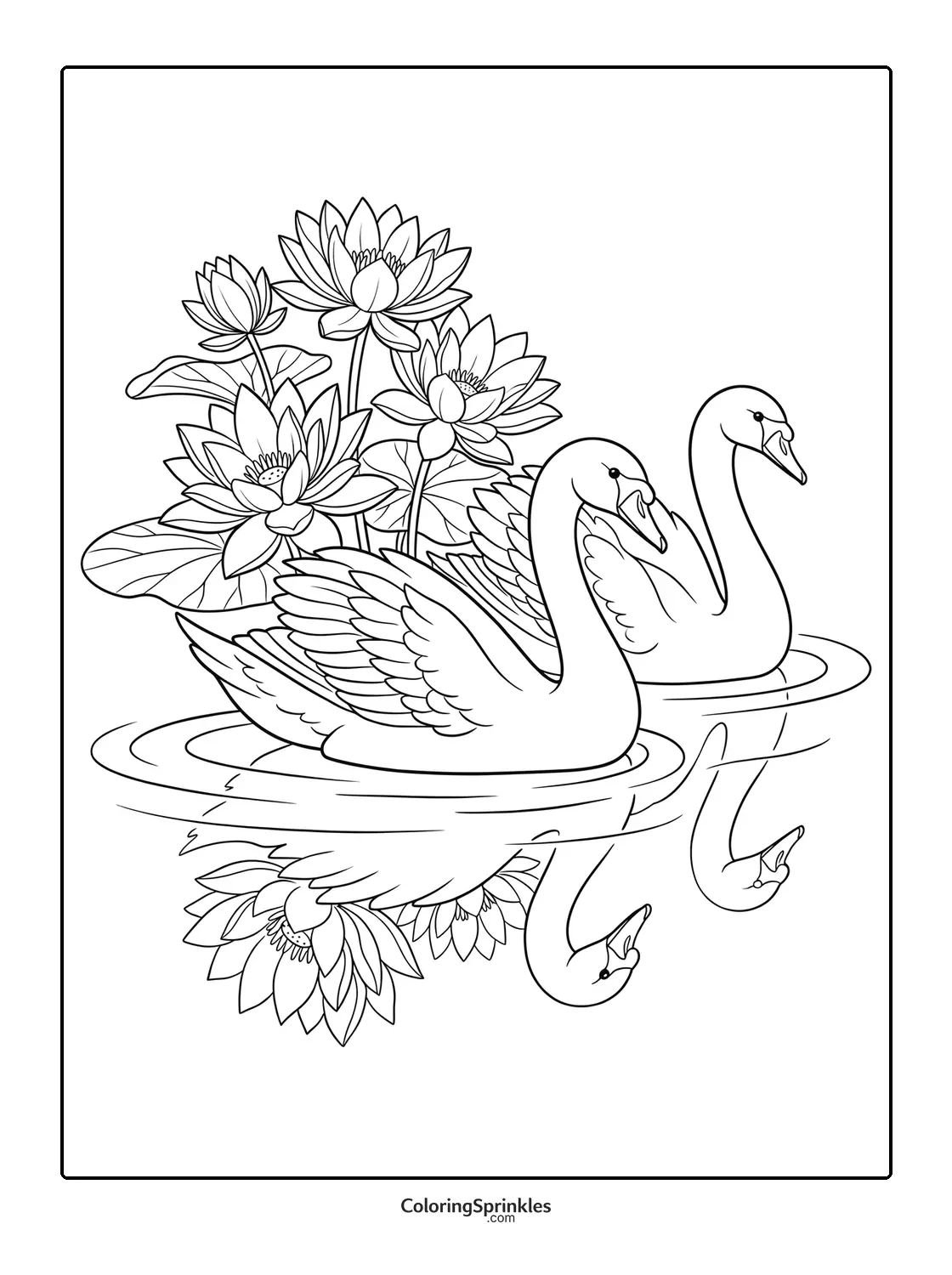 Coloring page of two swans swimming near lotus flowers with water reflection