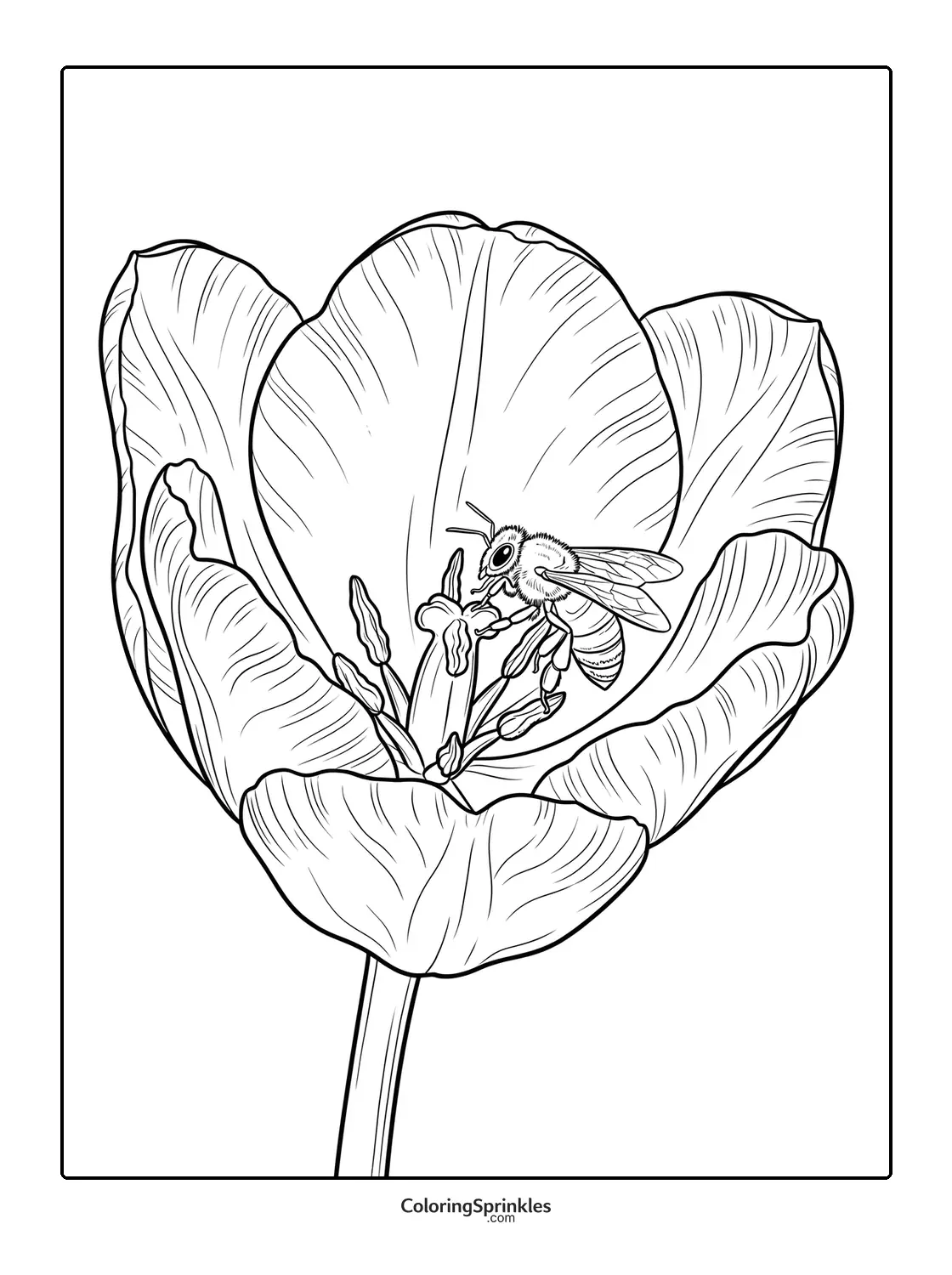 Coloring page of a bee pollinating a tulip flower