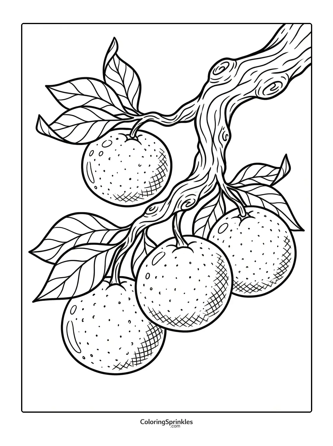 Coloring page of an orange fruit branch with leaves