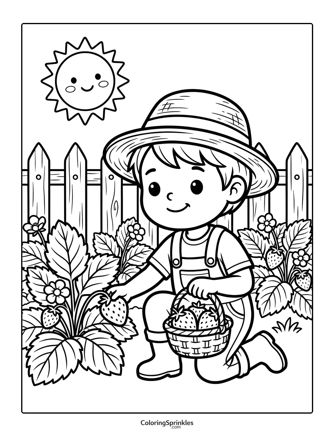 Coloring page of a boy picking strawberries in a garden under the sun