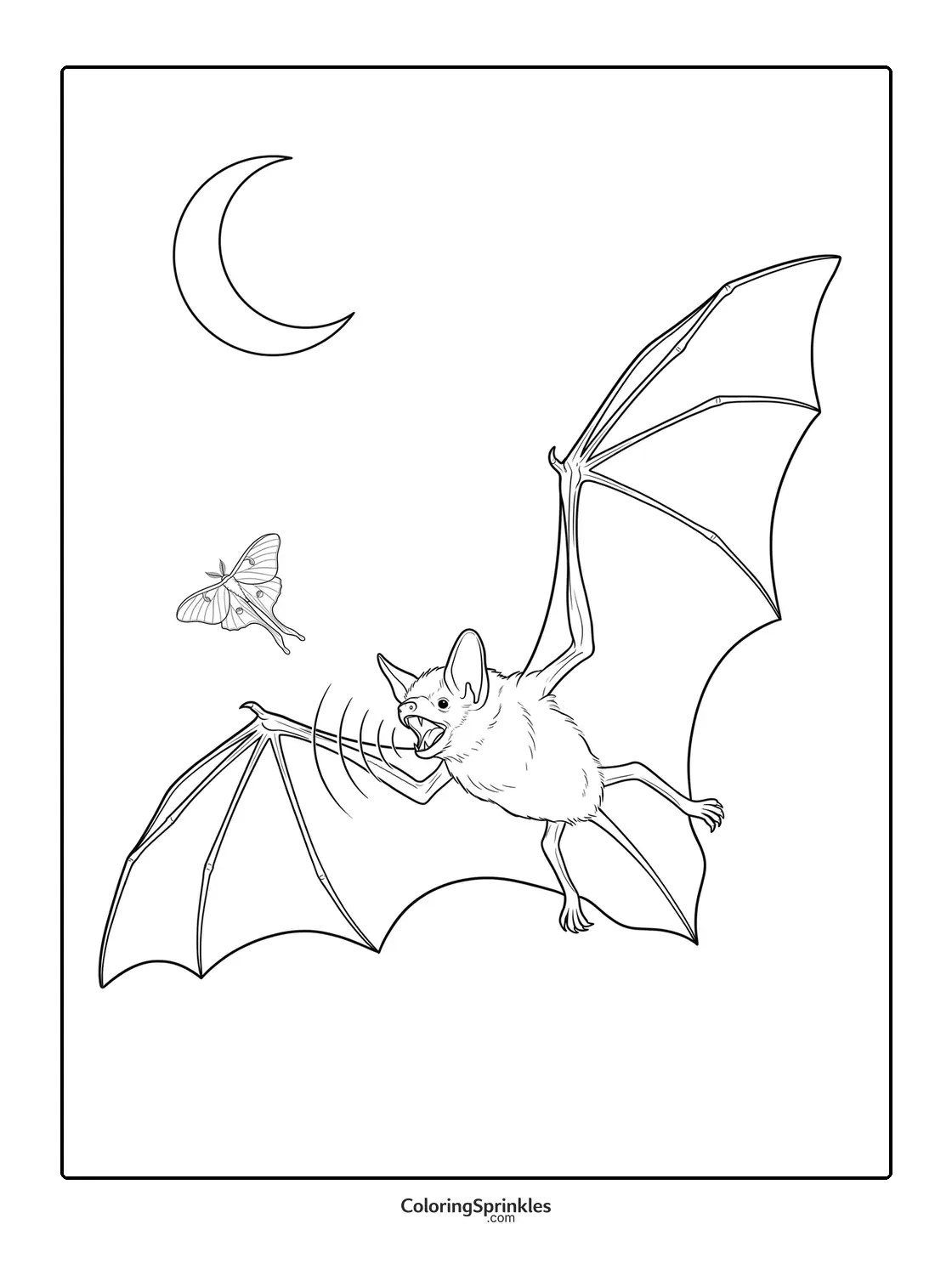 Coloring page of a bat using echolocation to hunt a moth at night with a crescent moon