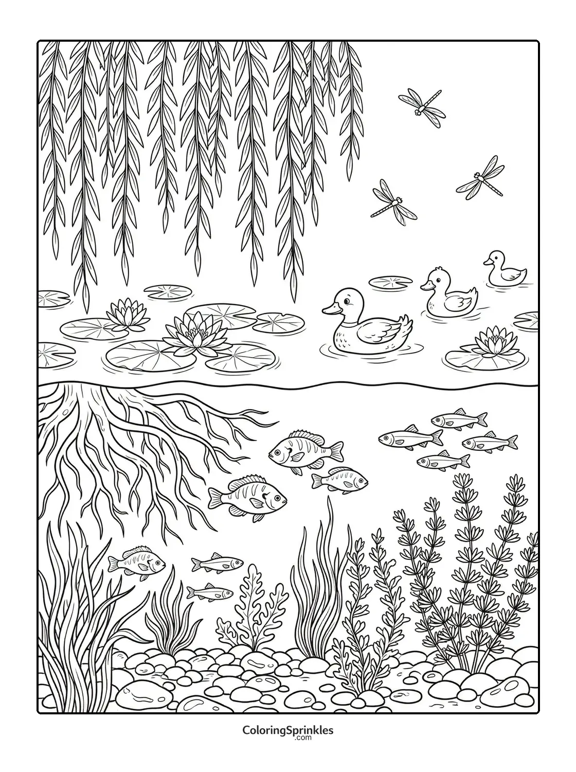 Coloring page of a pond scene with ducks, fish, water plants and dragonflies