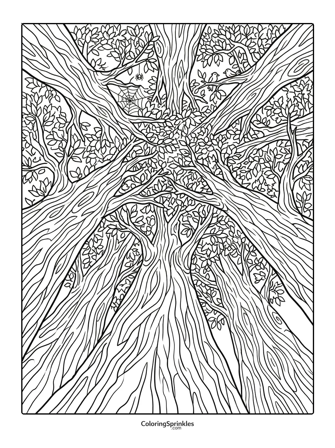 Coloring page of tall forest trees with a spider web and birds
