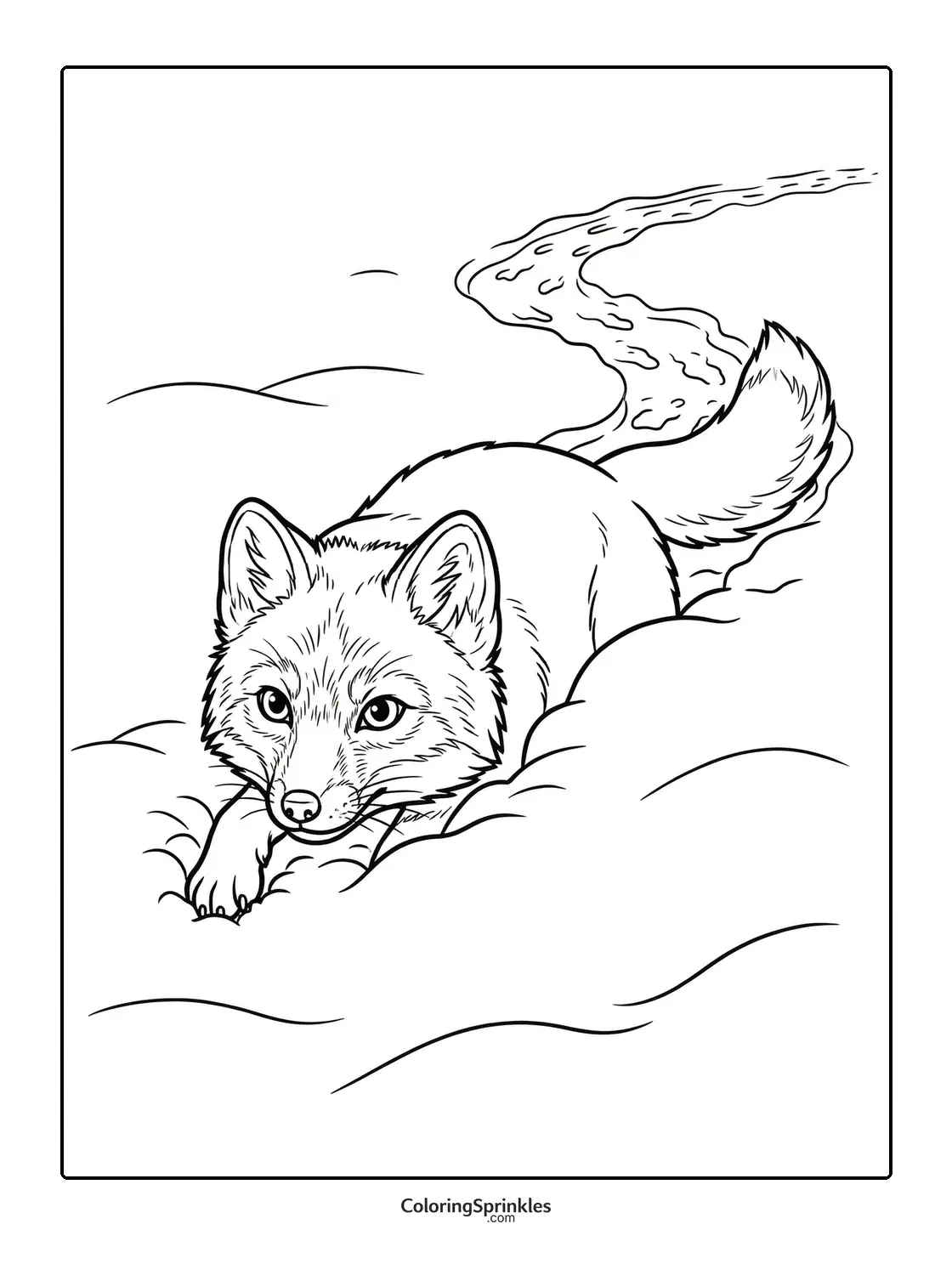Coloring page of a fox crawling through snow leaving a trail