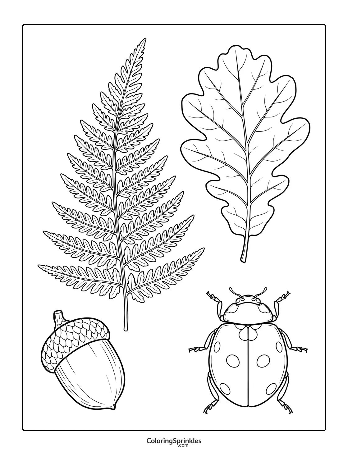 Coloring page of a fern leaf, oak leaf, acorn, and ladybug